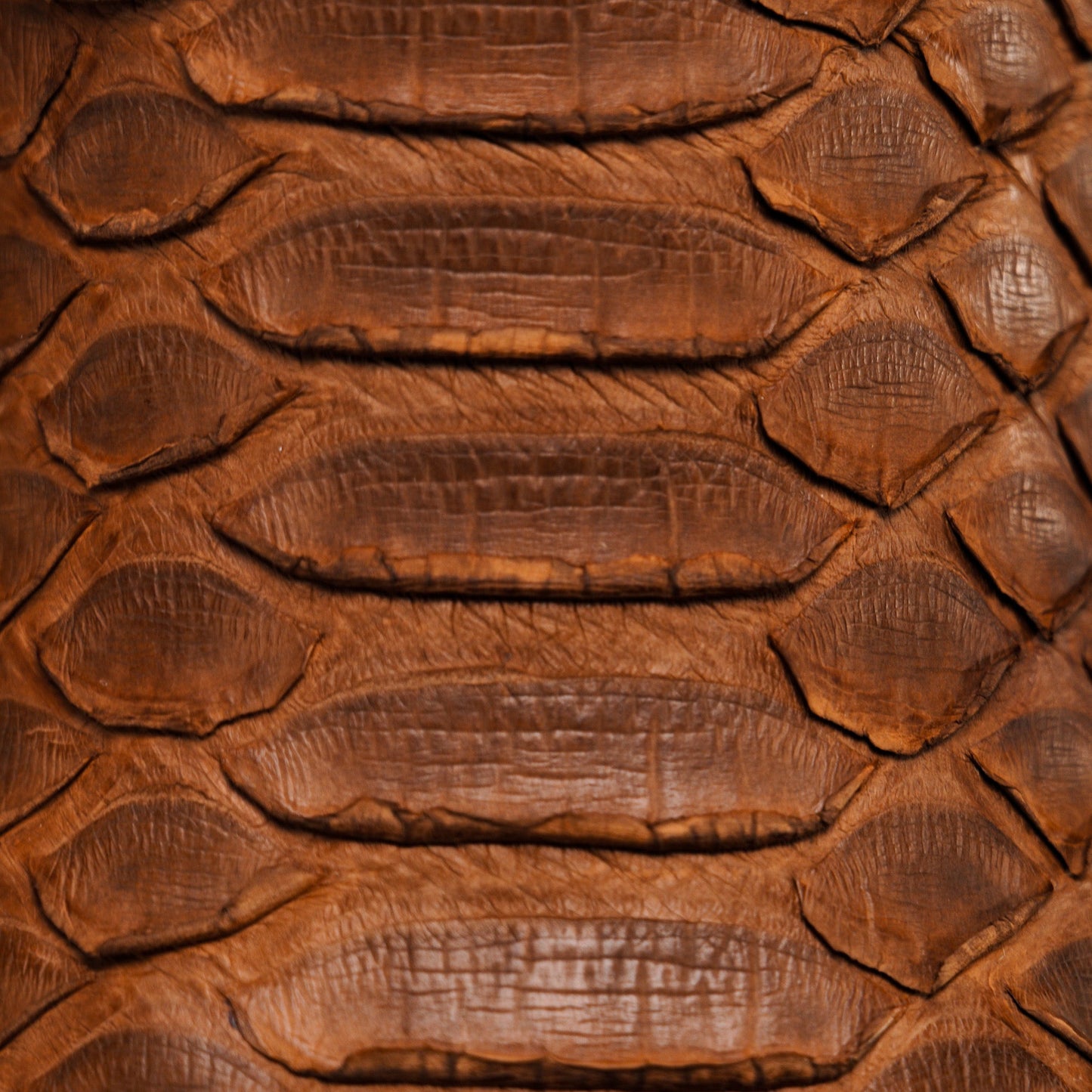 Authentic Porto Python Boots – Square Toe